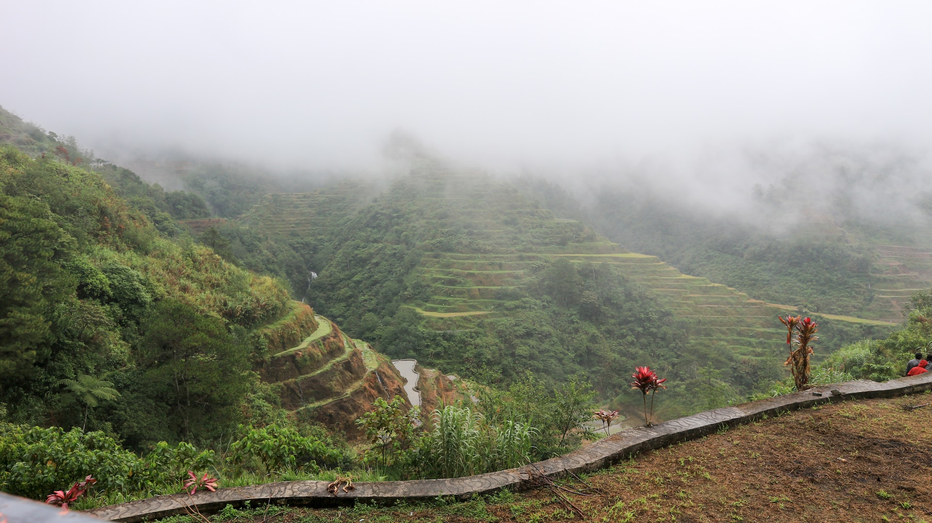 Photo by Ashton Jalra Garcia from Unsplash
