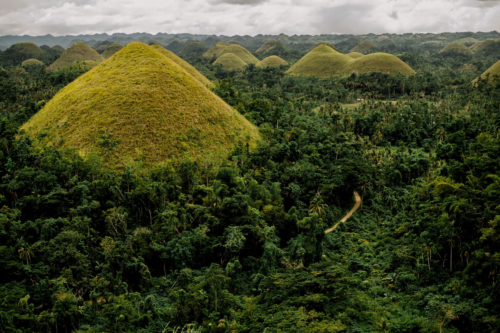 Bohol Countryside Tour