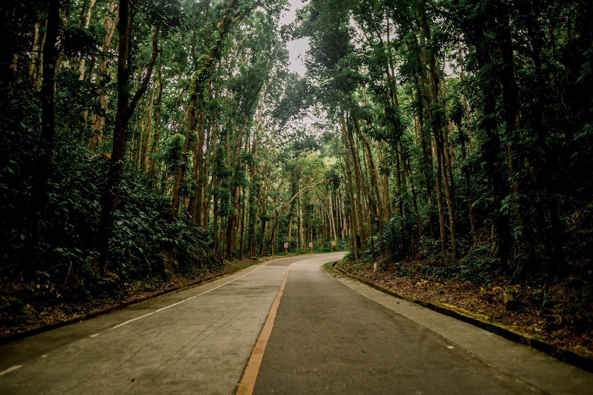 Loay Int Road, Bilar