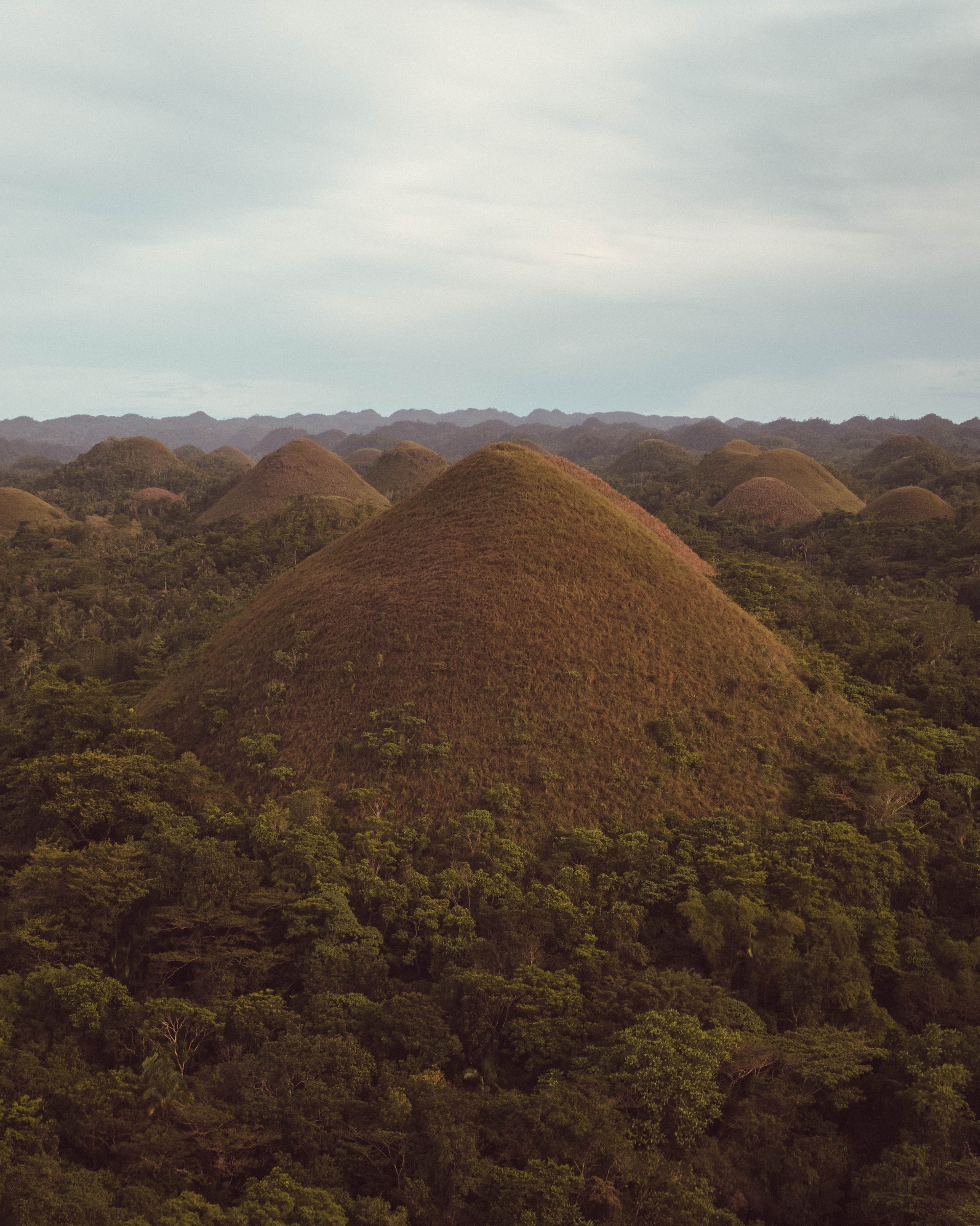 Chocolate Hills