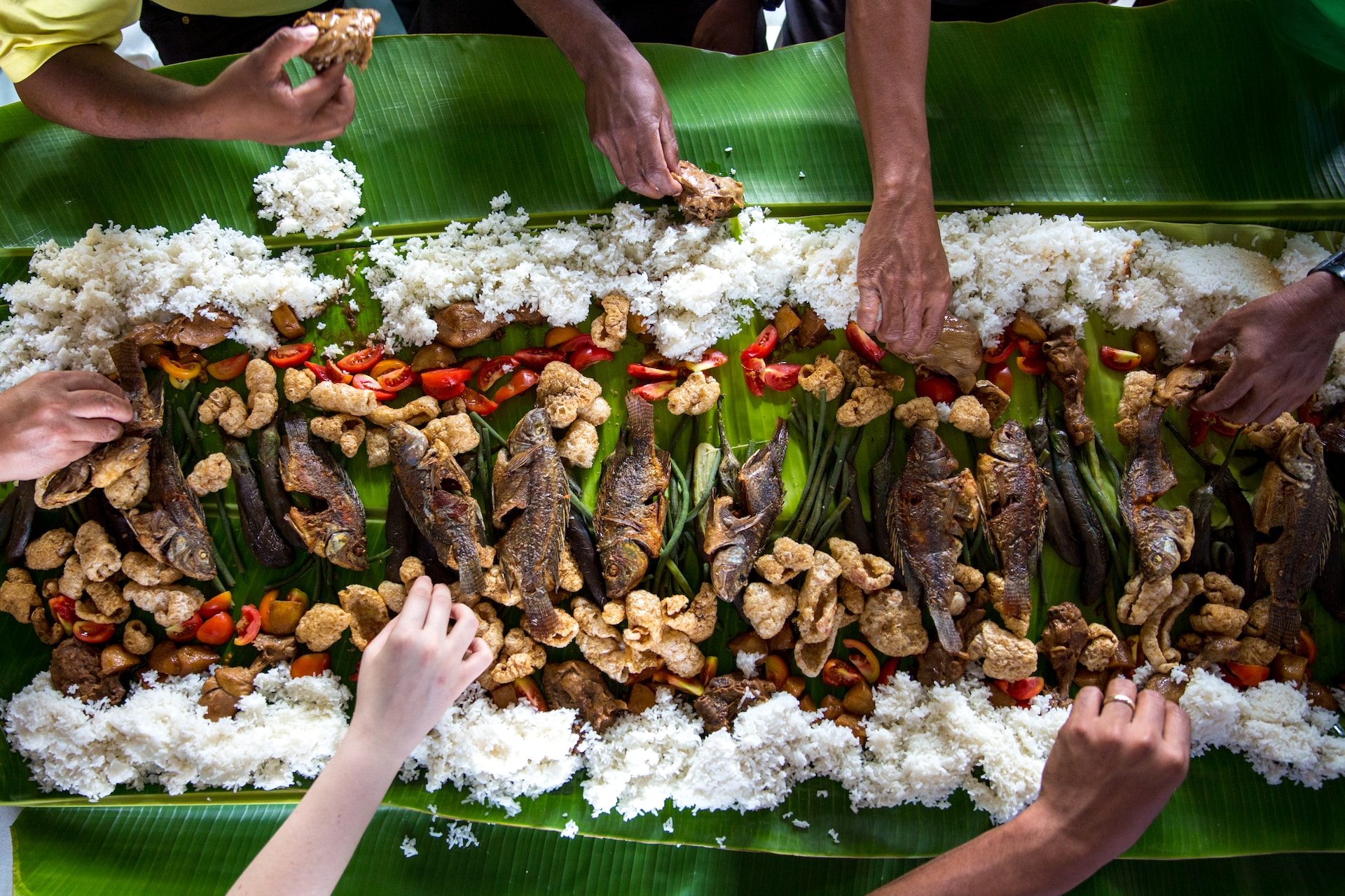 Food Parade